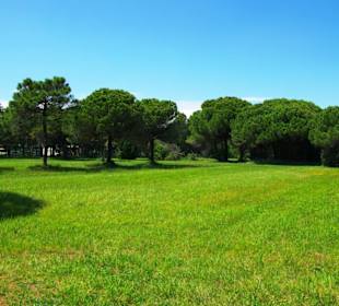 Naturschutzgebiet dei Pini