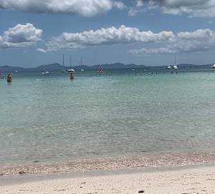 Strand Alcudia
