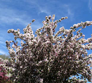 Eindrücke aus dem Walter-Peters-Park