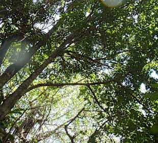 3. Geschlossene Cenote