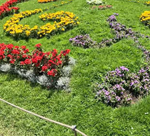 Flora und Botanischer Garten Köln