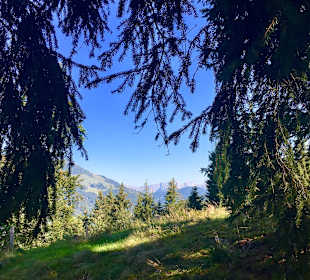 Wandern Kirchberg in Tirol