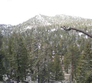 Ausflug Mount Jacinto 