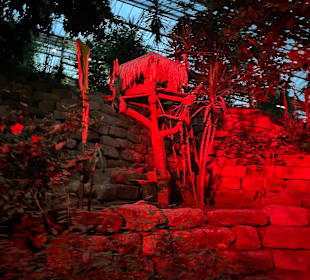 Mondo Verde Halloween