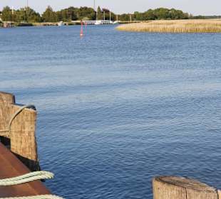 Bodden