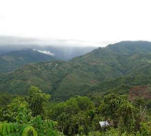 Wildlife Expeditions