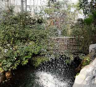 Der Wasserfall in der Botanika