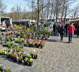 Rundgang über den Wochenmarkt Norden