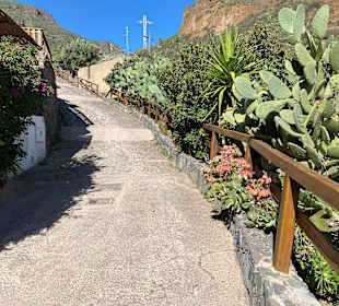 Inselrundfahrt Gran Canaria