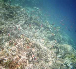 Untwasser am Hotelstrand