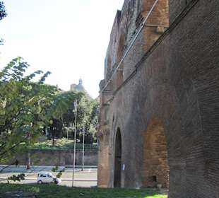Brücke bzw Mauer im Palatino