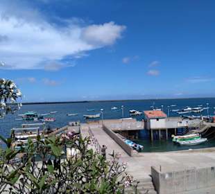 Auf dem Dach des Lamu Museums