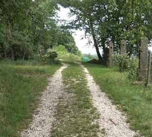 Wanderweg - Alter Steinbruch Pfaffenberg Runde