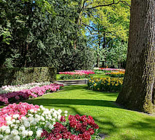 Keukenhof