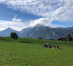 Wandern Reith im Alpbachtal