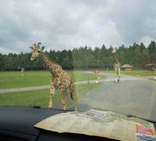 Serengeti Park Hodenhagen