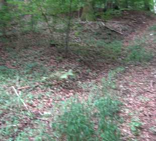 Tour entlang der Traifelbergfelsen