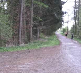 Wanderweg Firstwaldrunde