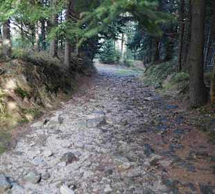 Riesengebirge/Karkonosze