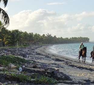 Links vom Hotel, Reitmöglichkeit