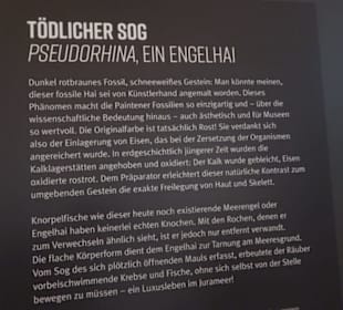 Dinosaurier Museum Altmühltal