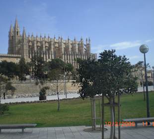 Catedrale von Palma