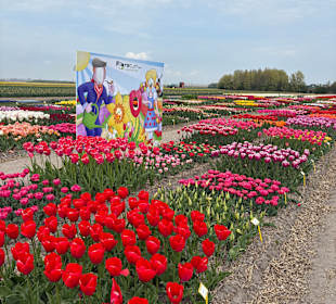 Floratuin Julianadorp