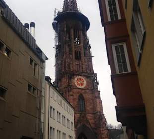 Freiburger Münster