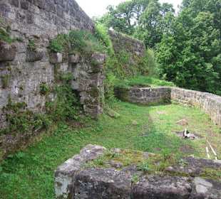 Die Wegelnburg