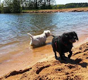 Einfach vom Feinsten.....