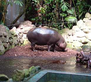 Freizeitpark