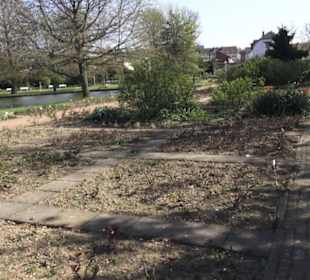 Rosengarten Zweibrücken