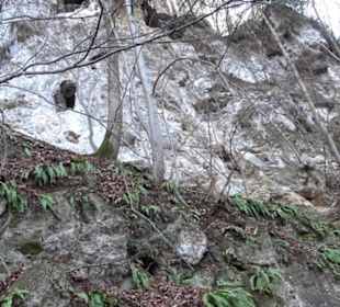 Wasserfallsteig