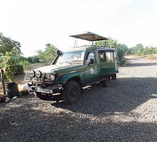 Kiwara Safari Jeep