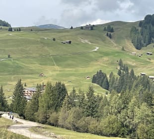 Ausblick