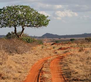 Eindrücke im Tsavo Ost