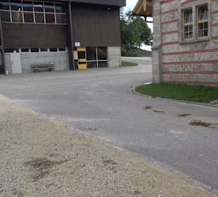 Haupt- und Landgestüt Marbach