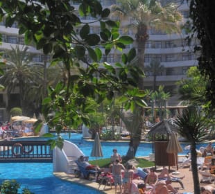 Rund um den Pool