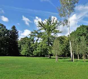Eindrücke aus dem Hofgarten Bayreuth