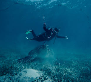 Shams Prestige Abu Soma