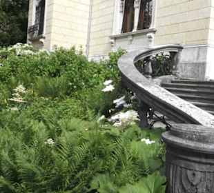 Heimatschutzzentrum in der Villa Patumbah