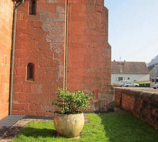 Ehem. Zisterzienserkloster Eußerthal