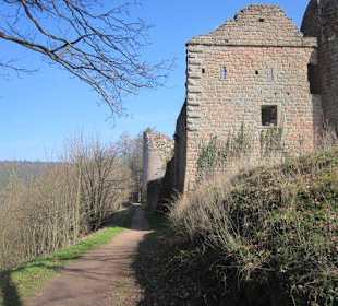 Burgruine Neuscharfeneck