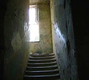 Zakład dla Nerwowo i Psychicznie Chorych Żydów Zofiówka