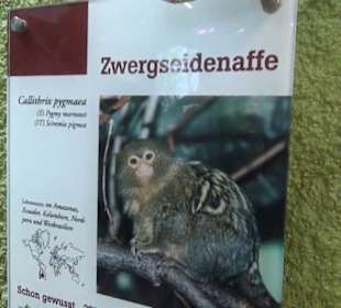 Südamerika Bereich - Südamerikahaus