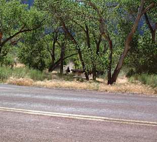 Parco nazionale Zion