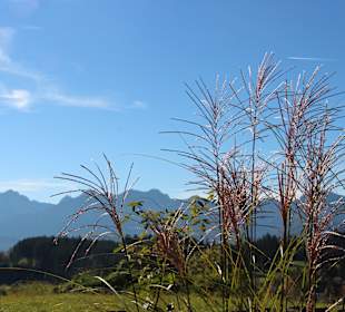 Wandern Rieden am Forggensee