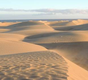 Dünen von Maspalomas