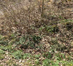 Geologischer Lehrpfad Kirnbachtal