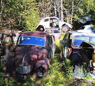 Autofriedhof am Foxen